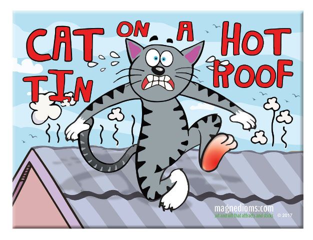 Idioms with roof. Идиомы про кошек на английском. Like a Cat on a hot tin Roof идиома. Идиомы с кошками англ. Идиомы с котами.